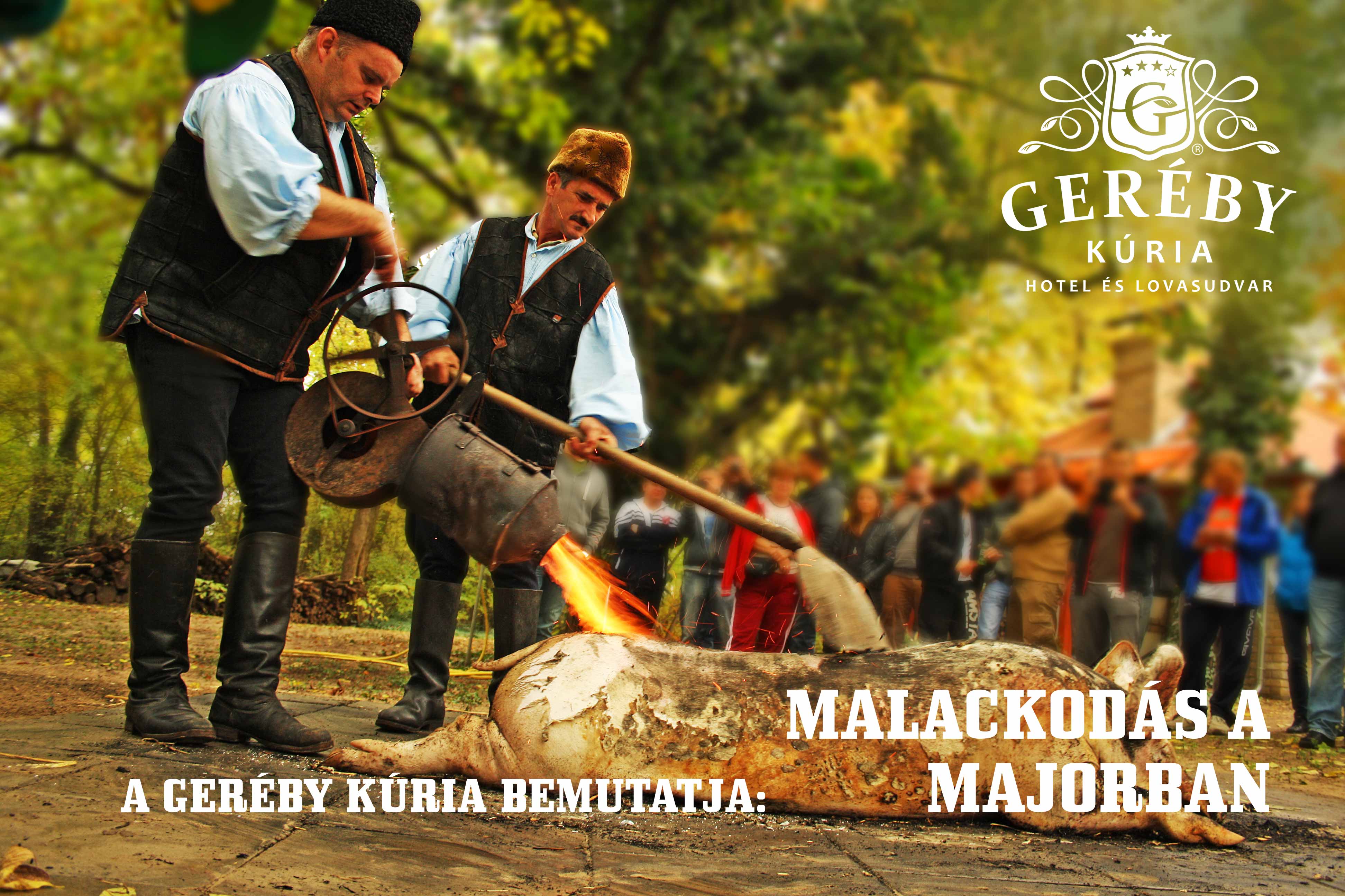 Geréby Kúria Hotel és Lovasudvar