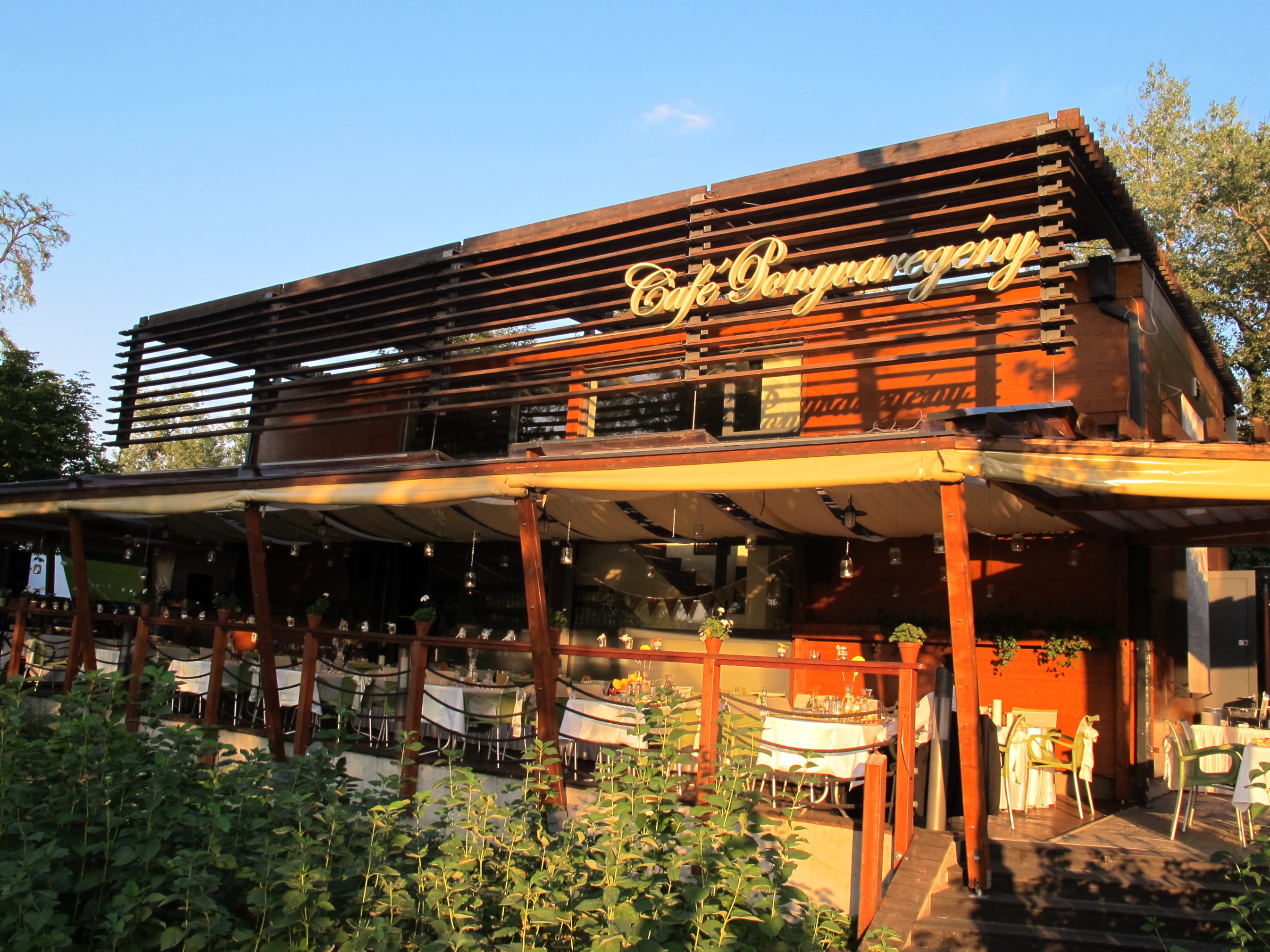 Café Ponyvaregény